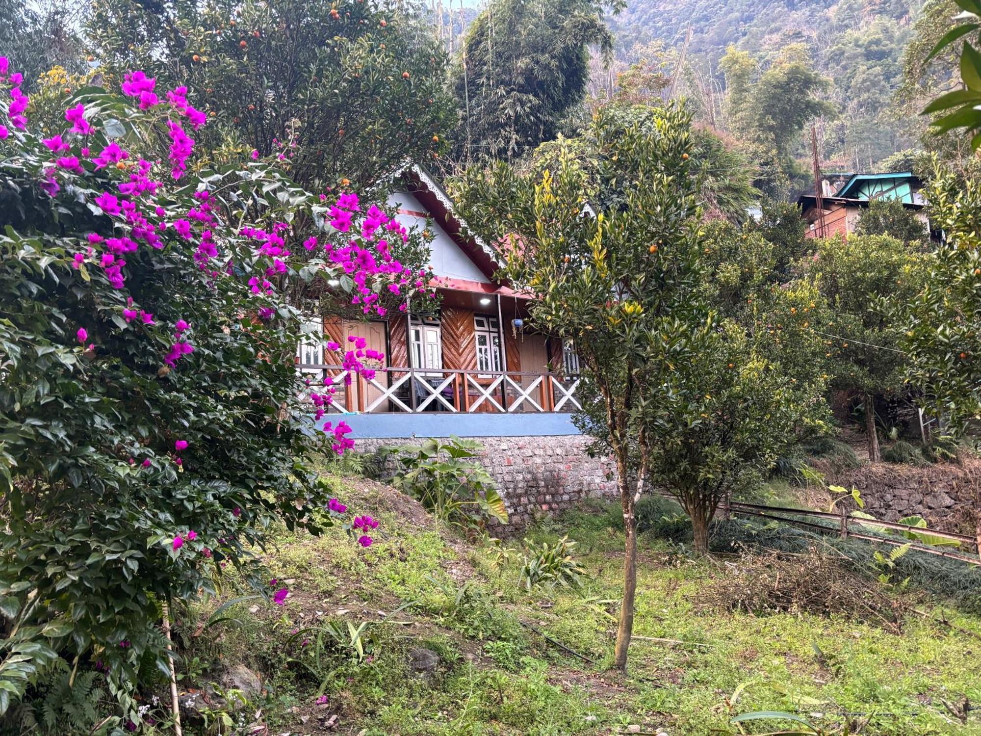 Odyssey Stays Rimbi Pelling Buitenkant foto